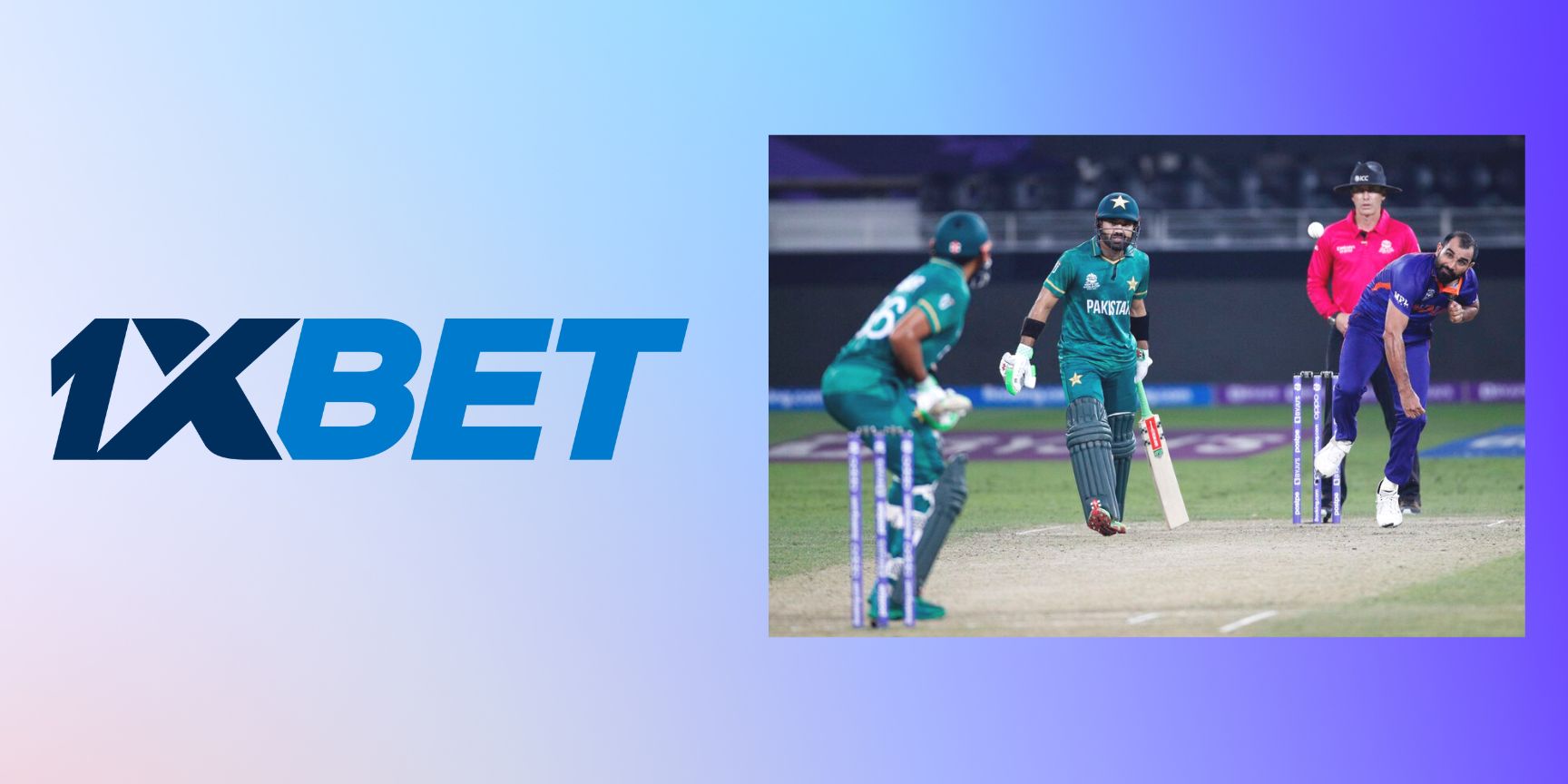 cricket betting services by 1xbet
