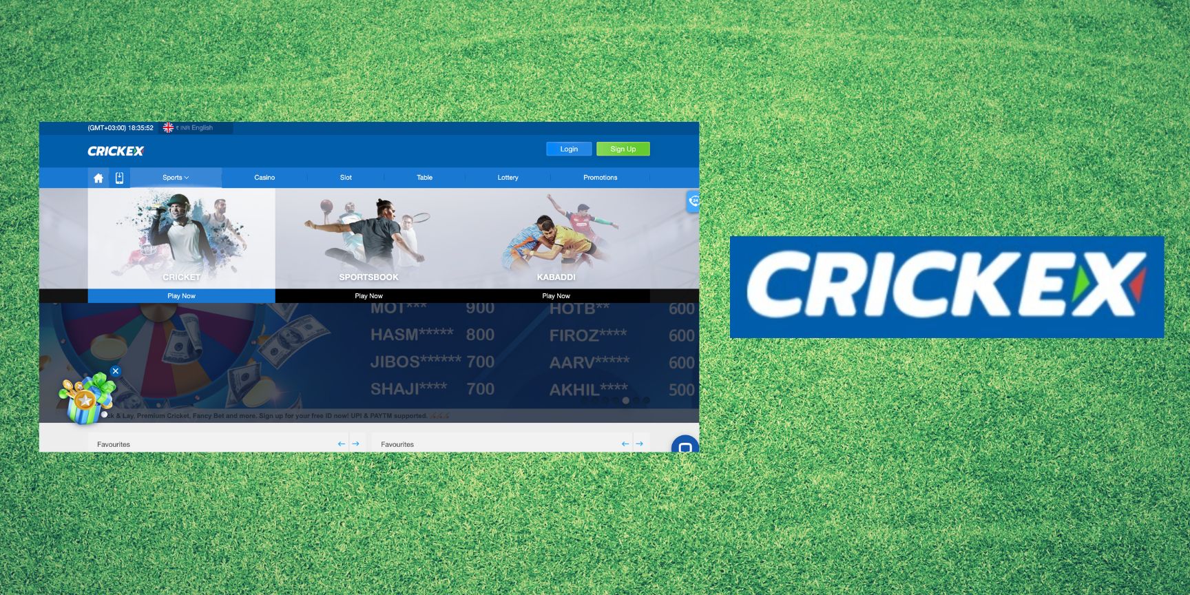 Crickex sports betting services information